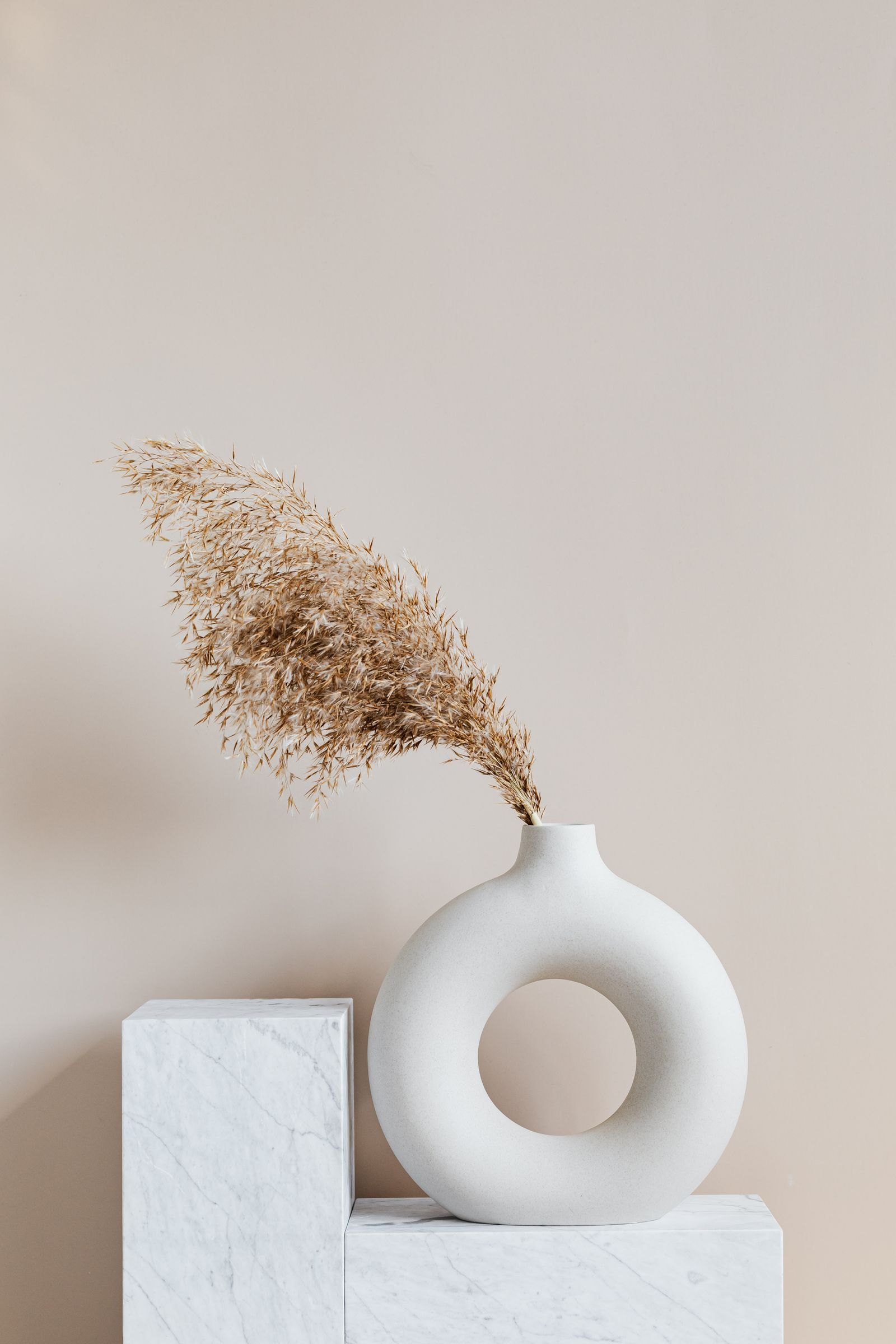A white ring-shaped vase with a dried pampas stem on pale marble